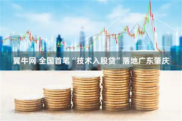翼牛网 全国首笔“技术入股贷”落地广东肇庆