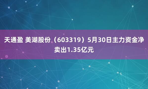 天通盈 美湖股份（603319）5月30日主力资金净卖出1.35亿元