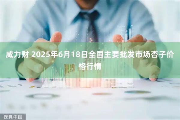 威力财 2025年6月18日全国主要批发市场杏子价格行情