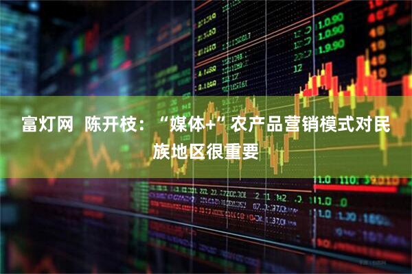 富灯网  陈开枝：“媒体+”农产品营销模式对民族地区很重要