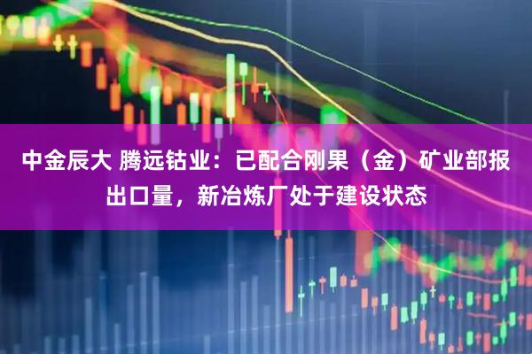 中金辰大 腾远钴业：已配合刚果（金）矿业部报出口量，新冶炼厂处于建设状态