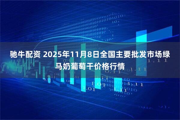 驰牛配资 2025年11月8日全国主要批发市场绿马奶葡萄干价格行情