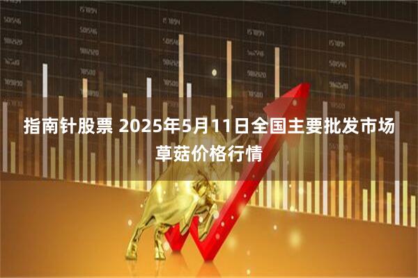 指南针股票 2025年5月11日全国主要批发市场草菇价格行情