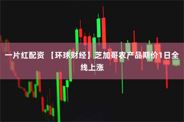 一片红配资 【环球财经】芝加哥农产品期价1日全线上涨