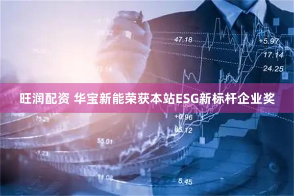 旺润配资 华宝新能荣获本站ESG新标杆企业奖